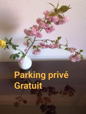 Appartement Zen Strasbourg center